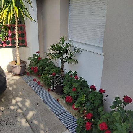 Apartments Ratkovic تريبينيي المظهر الخارجي الصورة