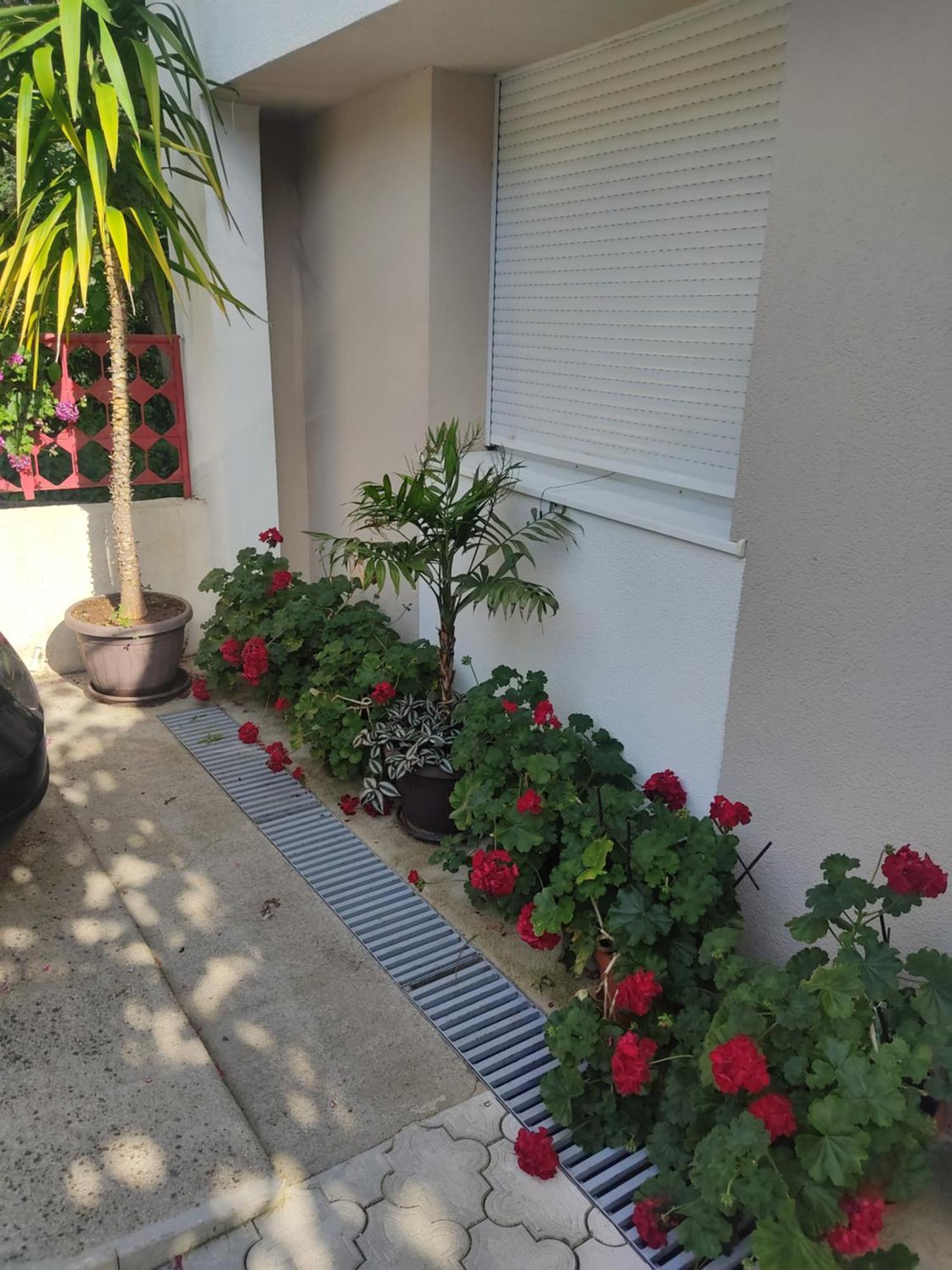 Apartments Ratkovic تريبينيي المظهر الخارجي الصورة